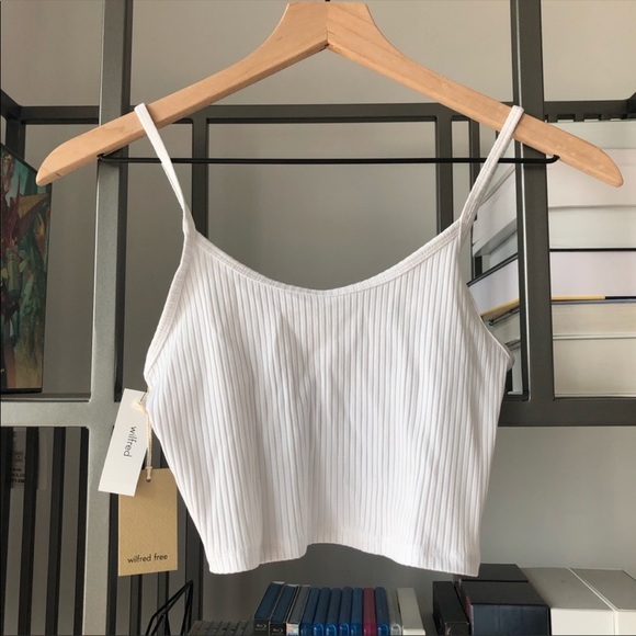 Aritzia Tops - Aritzia Wilfred free karleis ribbed crop tank